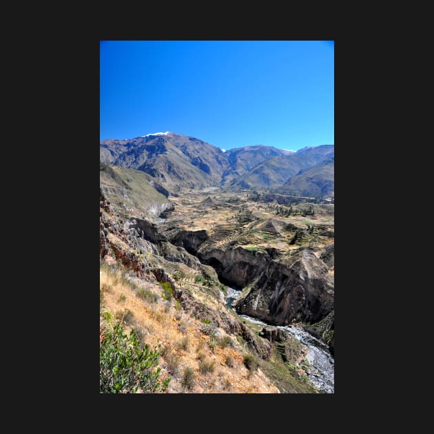 Pérou - Aréquipa - Canyon de Colca by franck380