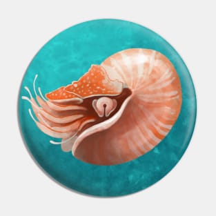 Chambered Nautilus Pin