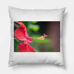 Hibiscus Love Pillow