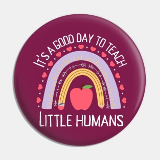 Its a Good Day To Teach Tiny Humans Pin