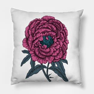 Peony drawing Pillow