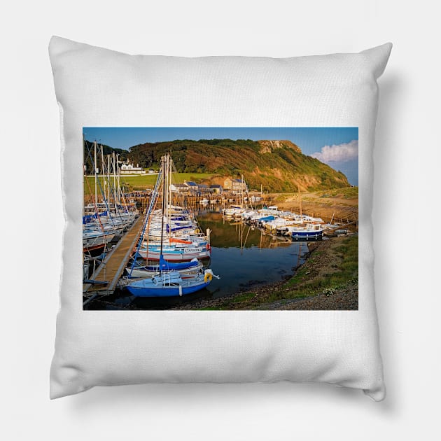 Axmouth Harbour & Haven Cliff Pillow by galpinimages