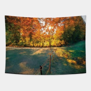 Golden Fall Picture Tapestry