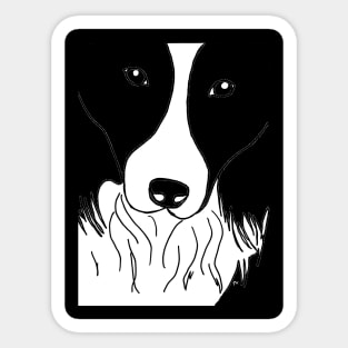 Border Collies Halloween  Sticker for Sale by TeeDoozy