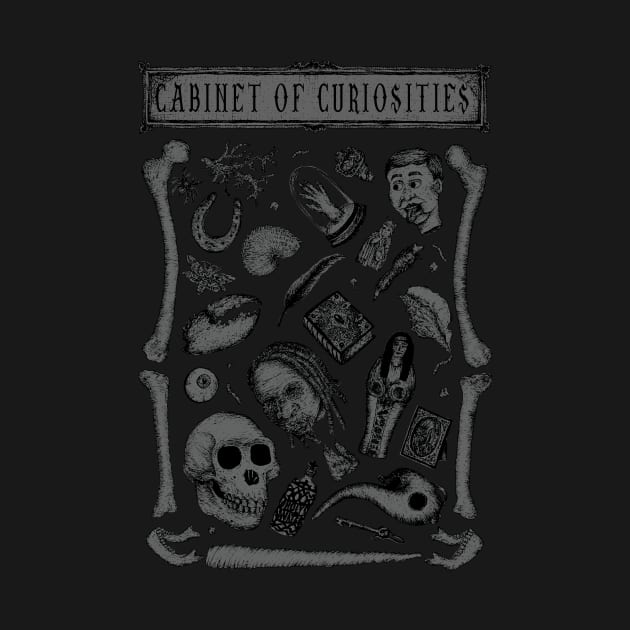 Cabinet of Curiosities by alowerclass