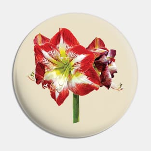 Amaryllis Minerva Pin