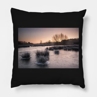 Cold Snap Pillow