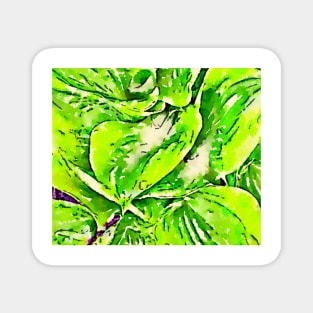 Tropical inspired hosta print Magnet