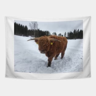 Scottish Highland Cattle Bull 1708 Tapestry
