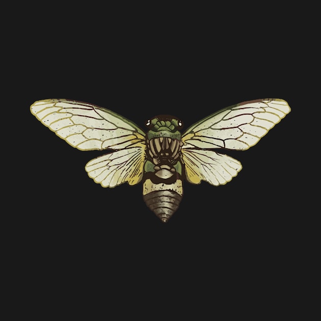 Cicada Cicadas Brood Insect by Jackys Design Room