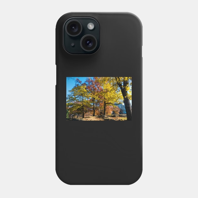 Central park in the fall Phone Case by Itsgrimupnorth