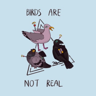 Birds are not real T-Shirt