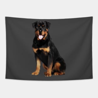 Rottweiler Dog, Dog Lover Tapestry