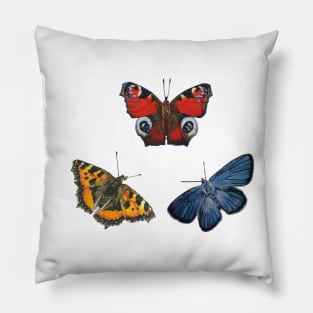 Butterfly Collection Pillow