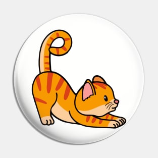 cute cat streching animal yoga concept kitten doing yoga Pin