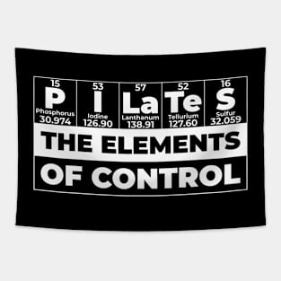 The Elements Of Control - Pilates Lover - Chemistry Lover Tapestry