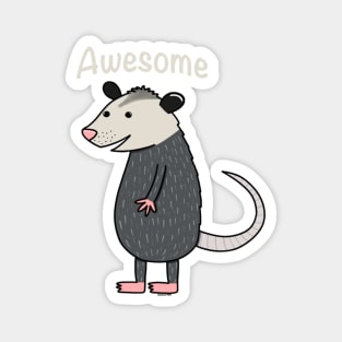 Awesome opossum Magnet