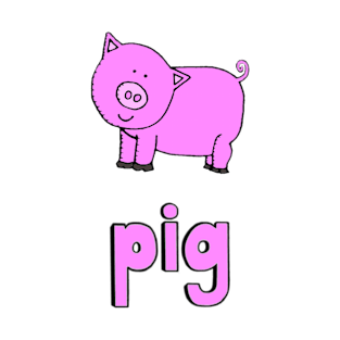 This is a PIG T-Shirt