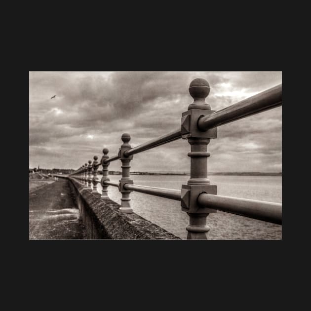 Seaside Fence by Errne