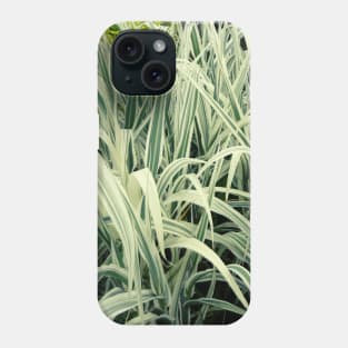 Tall Grass with White Stripes Photo Phone Case