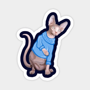 Cute Sphynx Cat with Blue Knit Sweater Magnet