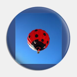 giant lady bug Pin