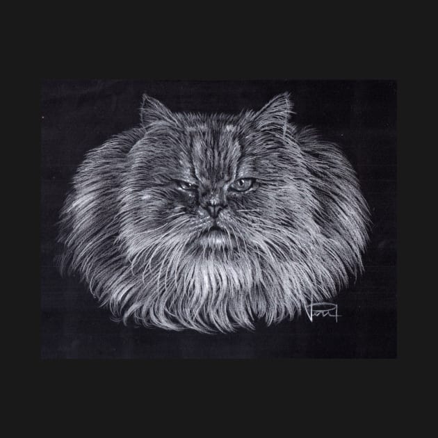 Persian Cat by VeriArt