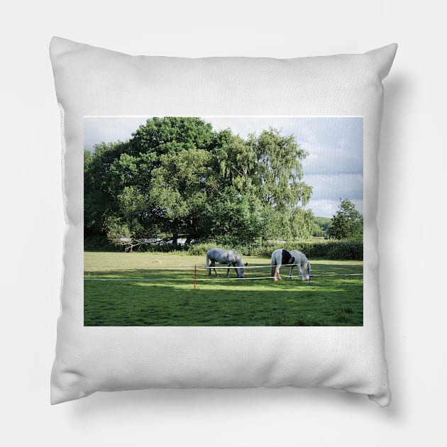 Ponies grazing in the woodland Pillow by fantastic-designs