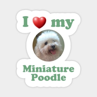 I Love My Miniature Poodle Magnet