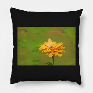 A Yellow Butterfly Pillow