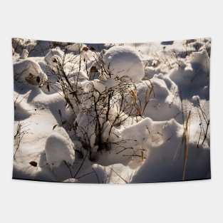 Fresh snow Tapestry