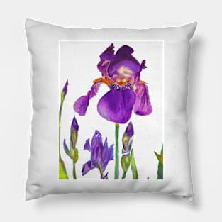 Iris Watercolour Painting Dark Purple Pillow