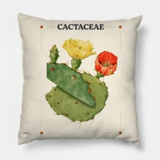 Cactaceae Pillow