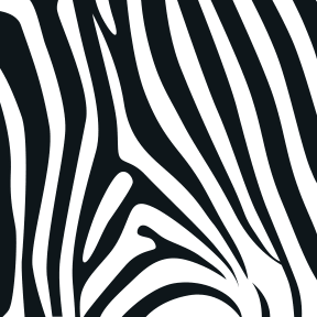 Zebra pattern Magnet