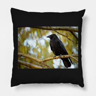 Black raven Pillow