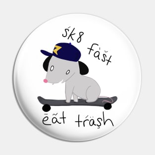 Sk8er Poss Pin