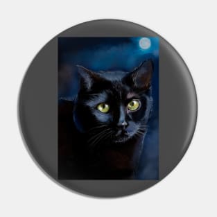 cat eyes Pin