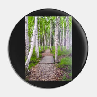 Path through birch forest Pin