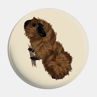 Nice Artwork showing a californian-colored Abyssinian Guinea Pig III Pin