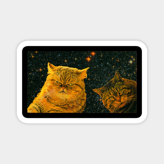 cosmic cat t-shirt episode-3 Magnet by Serious_cosmic_cats 