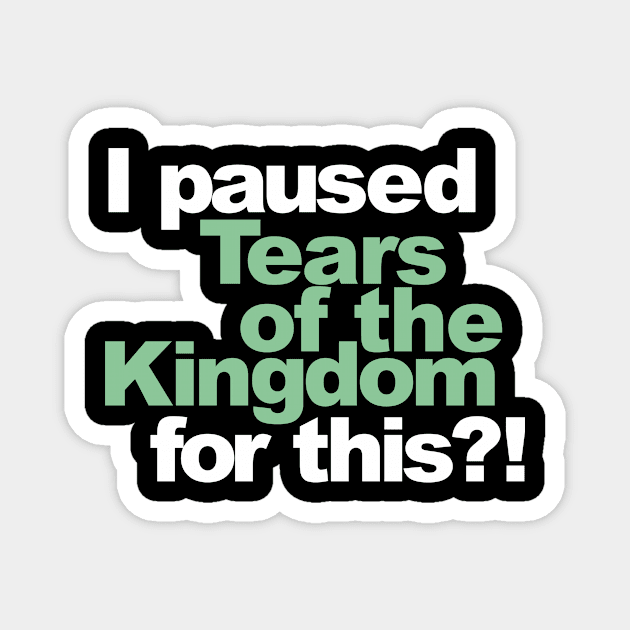 I paused Tears of the Kingdom for this?! Magnet by ToddPierce