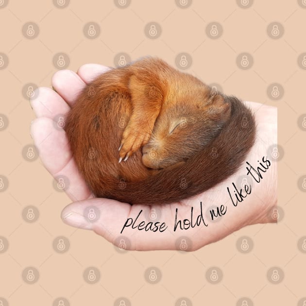 Please hold me like a cute sleeping baby squirrel by Bailamor