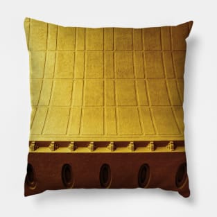 The Ceiling Pillow