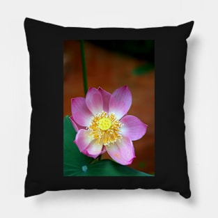 Large Lotus Flower #2, Thailand Pillow