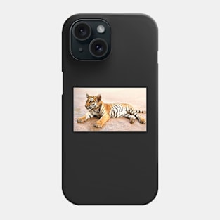 Tiger Cub Lying Down, Thailand Phone Case