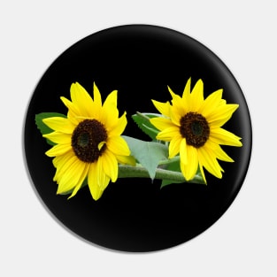 sunflowers, sunflower, sunflowerfield, flowers Pin