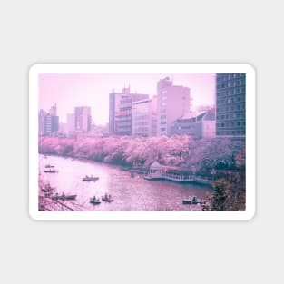 Vaporwave 80s Anime Vibes on a river in Tokyo Japan. Beautiful pink art Magnet