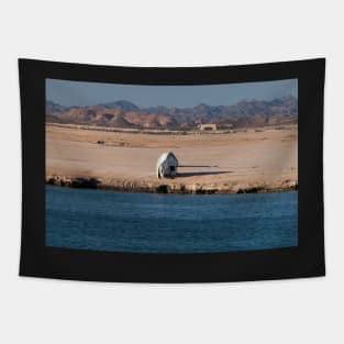 Stranded Tapestry