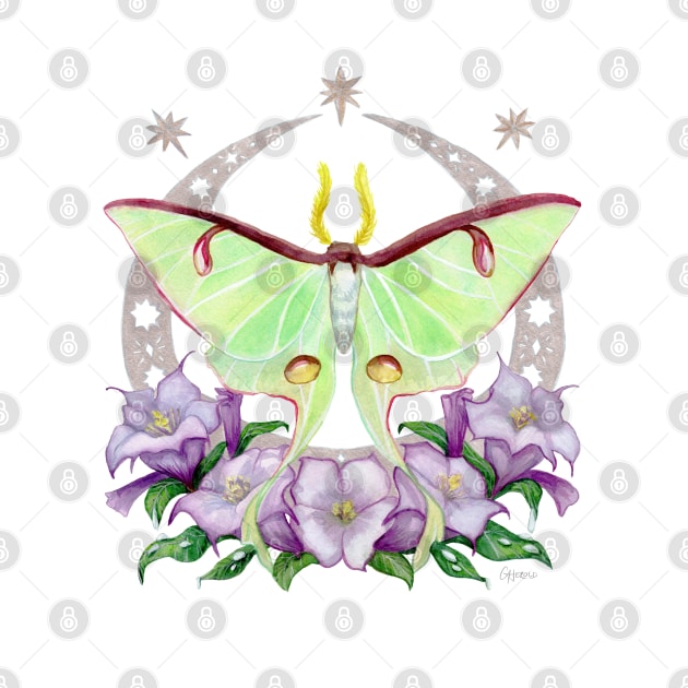 Nighttime Moth - Luna Moth with Purple Daturas on Indigo by catherold