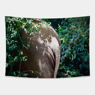 Elephant II / Swiss Artwork Photography Tapestry
